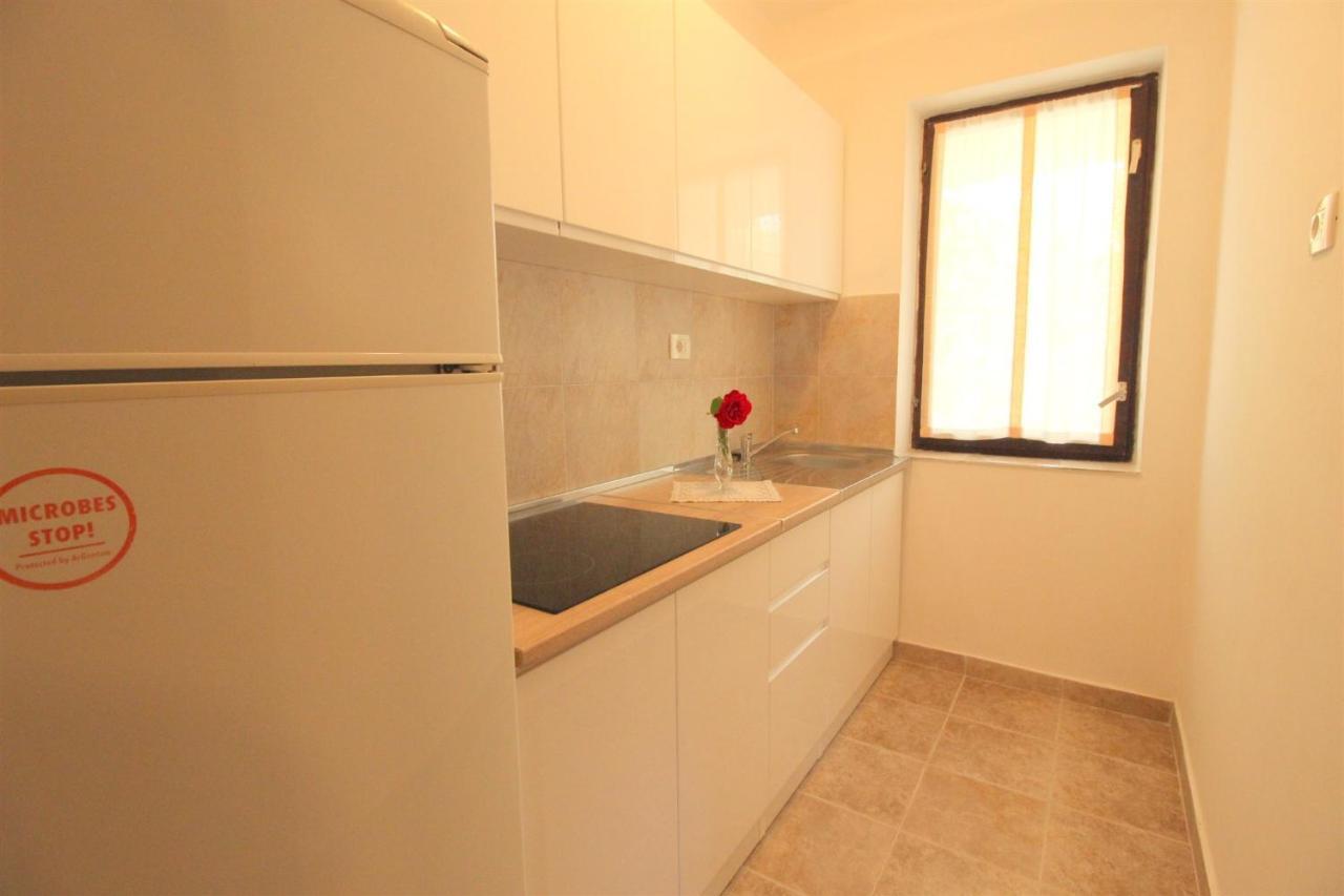 Appartement Gianna A4+2 à Novigrad Istria Extérieur photo